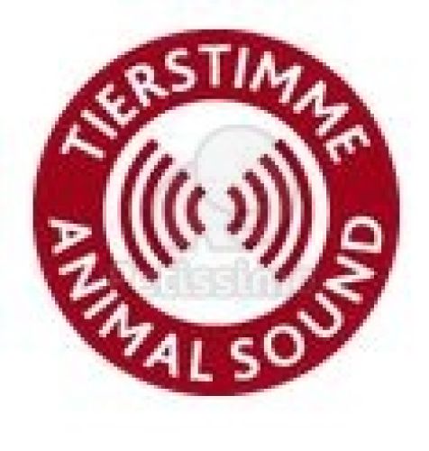 Trixie Röfögős malac  17 cm