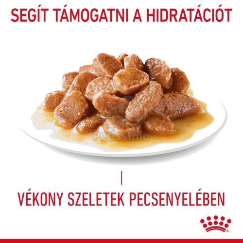 Royal Canin Hairball Care - szószos nedves táp felnőtt macskák részére a szőrlabdák könnyebb eltávozásáért  85 g