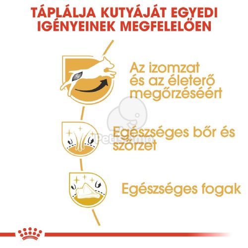 Royal Canin Jack Russell Terrier Adult - Jack Russell Terrier felnőtt kutya száraz táp  1.5 kg