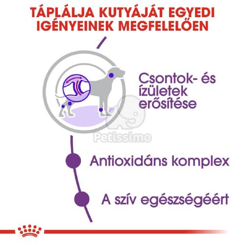 Royal Canin Giant Adult - óriás testű felnőtt kutya száraz táp  15+3 kg
