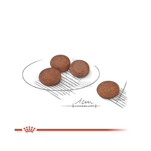 Royal Canin Mini Digestive Care - száraz táp érzékeny emésztésű, kistestű felnőtt kutyák részére  1 kg