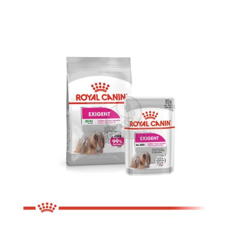 Royal Canin Mini Exigent - száraz táp válogatós, kistestű felnőtt kutyák részére  3 kg