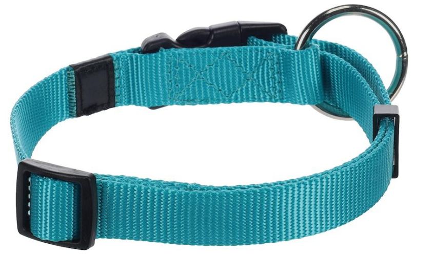 Flamingo Ziggi nyakörv - türkiz m   1 db