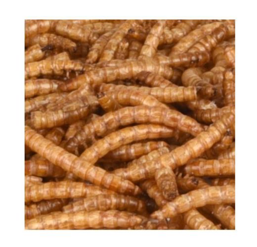 Flamingo szárított kukacok - madár  100 g