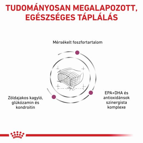 Royal Canin Feline Early Renal  1.5 kg