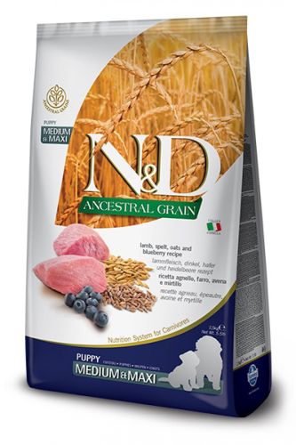 N&D Ancestral Grain Dog Puppy Medium & Maxi Lamb & Blueberry  12 kg