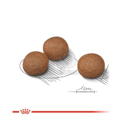 Royal Canin Medium Digestive Care - száraz táp érzékeny emésztésű, közepes testű felnőtt kutyák részére  12 kg