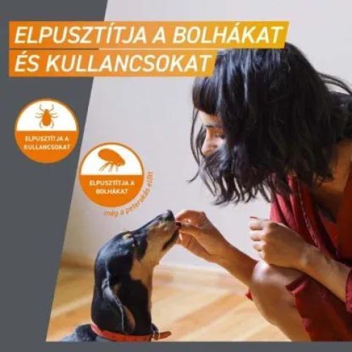 FRONTPRO RÁGÓTABLETTA KUTYA XS /2-4KG/  3 tabletta