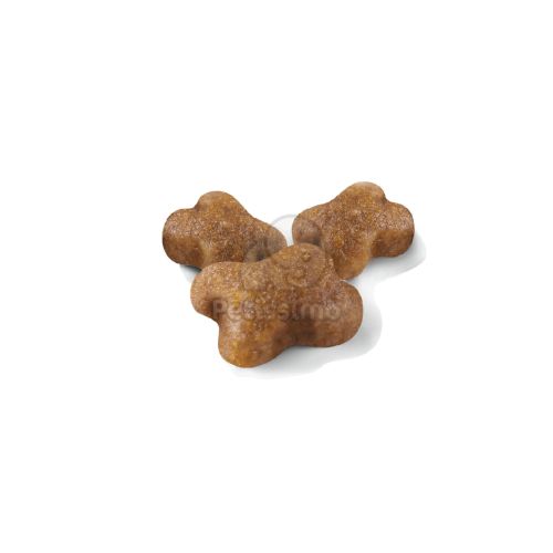 Royal Canin Kitten - kölyök macska száraz táp  1.2 kg