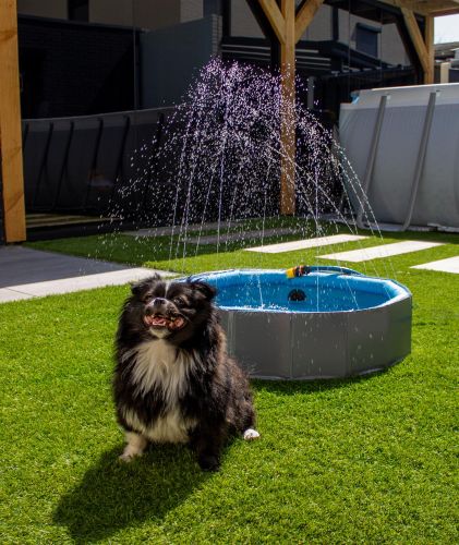 Flamingo medence/szökőkút kutyák számára  1 db