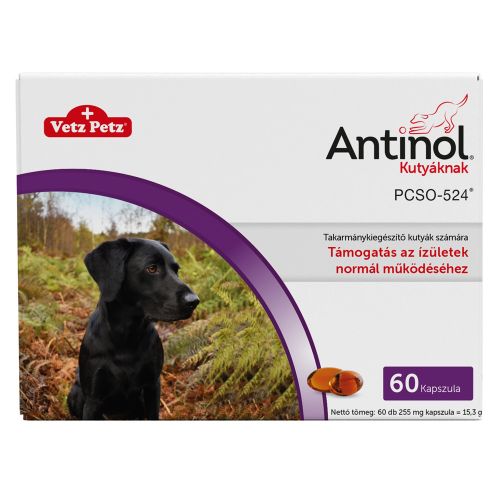 Antinol kapszula kutyák számára  60 db