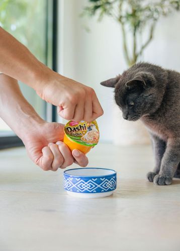 Inaba Cat Churu Dashi Delights - csirke-sajt  70 g