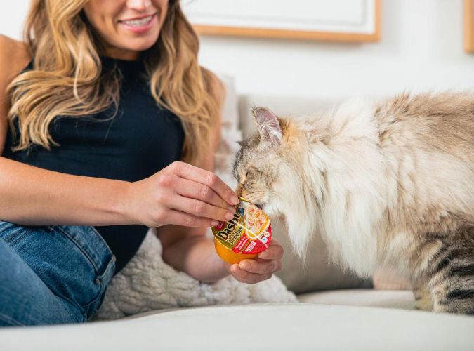 Inaba Cat Churu Dashi Delights - csirke-sajt  70 g