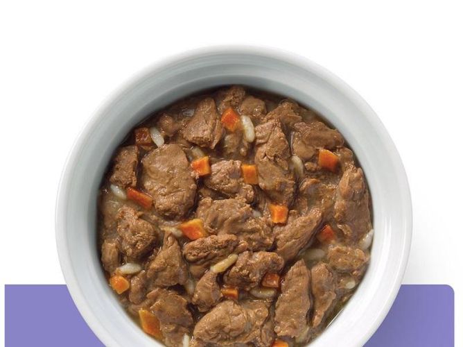 Hill's Prescription Diet On-Care Stew ragus kutyaeledel 354 g