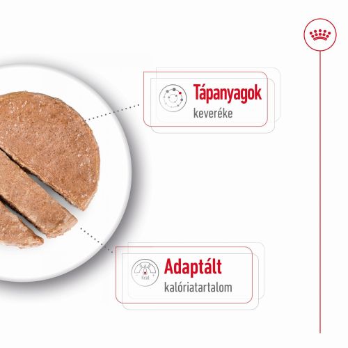 Royal Canin Mini Ageing 8+ konzerv  195 g