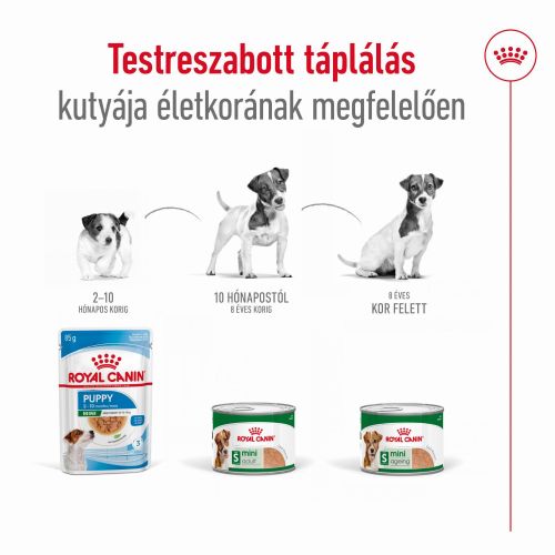 Royal Canin Mini Ageing 8+ konzerv  195 g