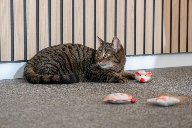 Flamingo macskajáték - Lovu egér macskamentával  1 db