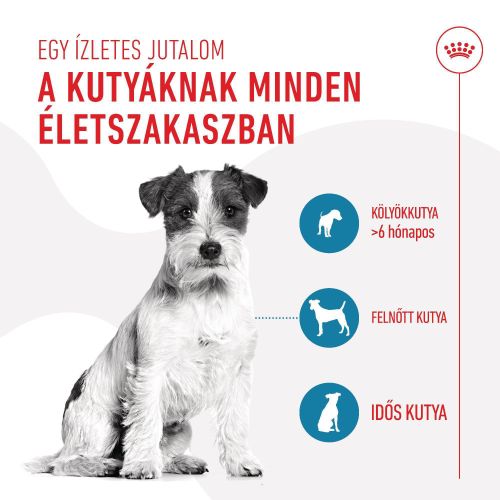Royal Canin Training Treats - jutalomfalat kutyák számára  110 g