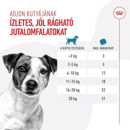 Royal Canin Training Treats - jutalomfalat kutyák számára  110 g