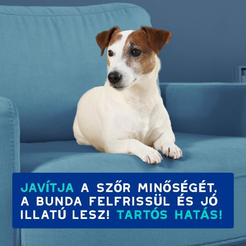 DOUXO SPA szagsemlegesítő sampon kutyák számára  250 ml