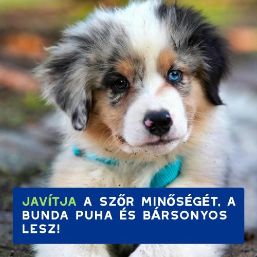 DOUXO SPA sampon kölyökkutyák számára  250 ml
