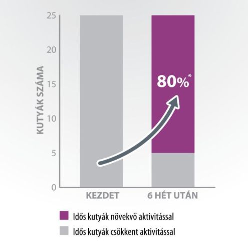 Pro-Nutrition Protect+ Senior+ száraztáp kutyák számára 12 kg