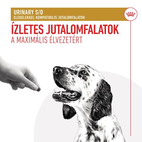 Royal Canin Treats Urinary S/O Diets - jutalomfalat húgyúti egészséget támogató étrend kiegészítésére  230 g