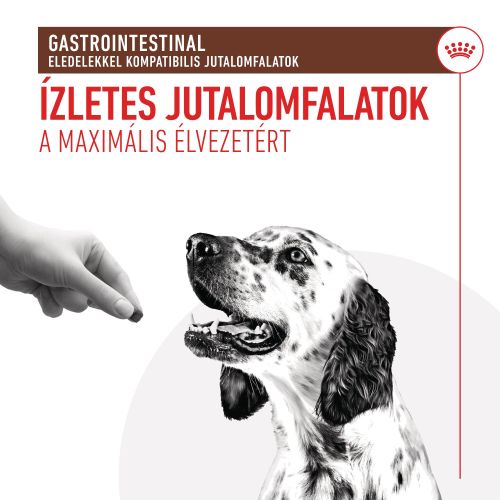 Royal Canin Treats Gastrointestinal Diets - jutalomfalat gasztrointesztinális diétát támogató étrend kiegészítésére  230 g