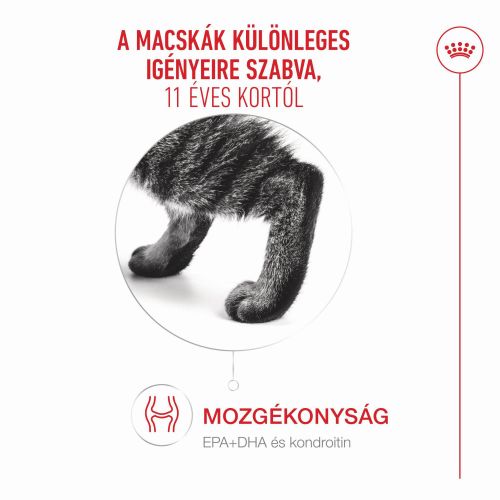 Royal Canin Ageing 11+ - száraztáp idős macskák számára  4 kg