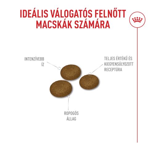 Royal Canin Fussy Exigent - száraztáp a húgyúti rendszer támogatására macskák számára  400 g