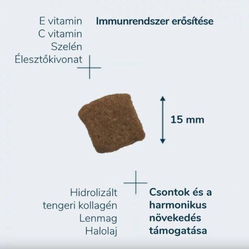 Pro-Nutrition Professionnel Elite Puppy Maxi  20 kg