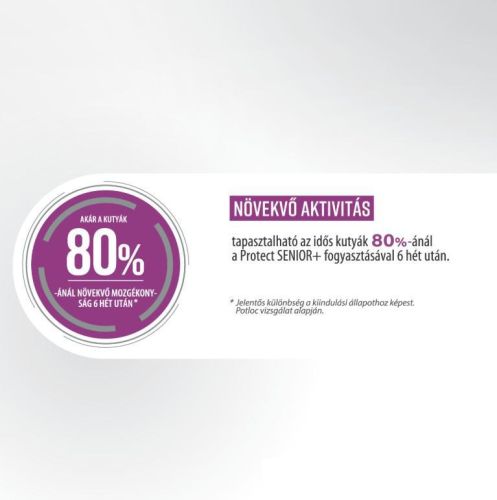 Pro-Nutrition Protect+ Senior+ száraztáp kutyák számára 2 kg