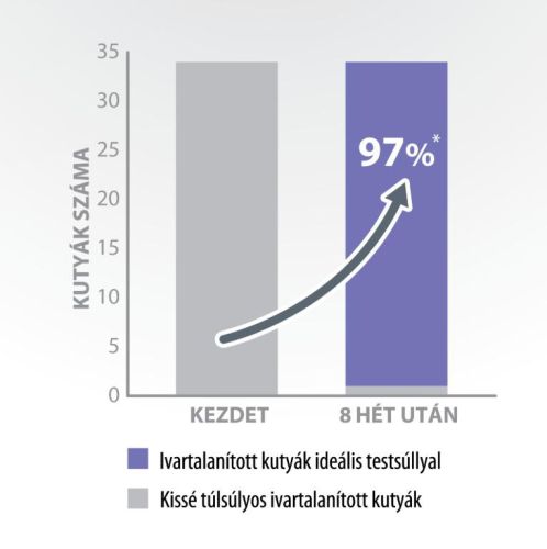 Pro-Nutrition Protect+ Sterilised száraztáp kutyák számára 12 kg