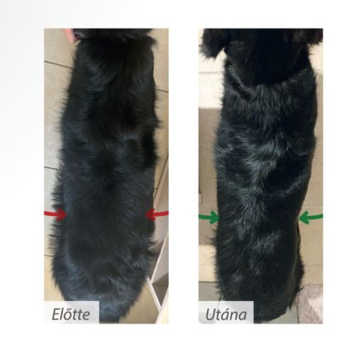 Pro-Nutrition Protect+ Sterilised száraztáp kutyák számára 12 kg