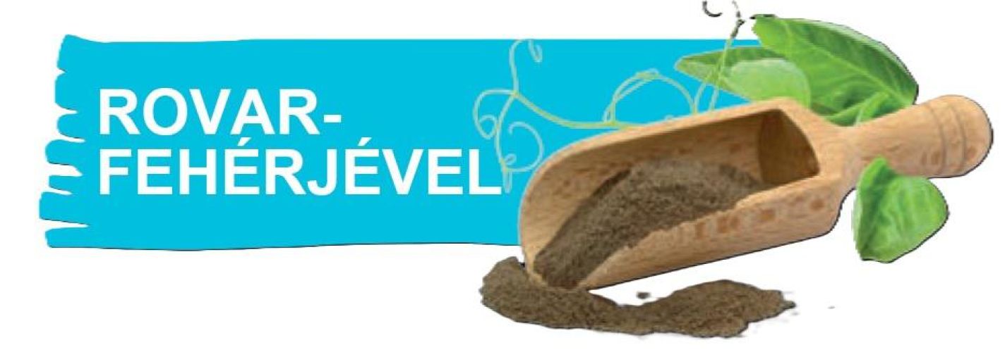 Green Petfood InsectDog Hypoallergenic with Insects - szárazeledel rovarfehérjével kutyák számára 10 kg