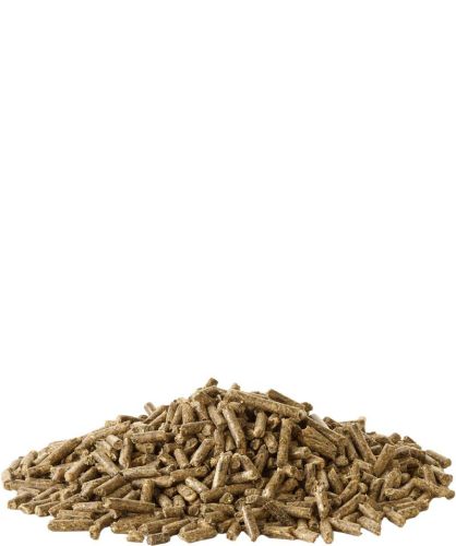 Versele-Laga Crispy Pellets Guinea Pig - pellet tengerimalacok számára 2 kg