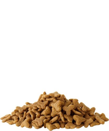 Versele-Laga Crispy Extruded Pellets Ferret - pellet vadászgörények számára 10 kg