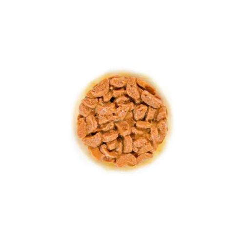 Royal Canin Ageing 11+ - szószos nedves táp idős macskák számára 12 x 85 g