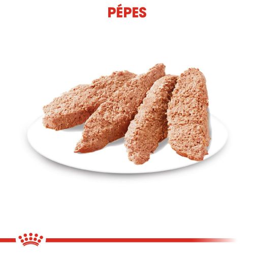 Royal Canin Digestive Care - alutasakos eledel érzékeny emésztésű kutyák részére 12 x  85 g