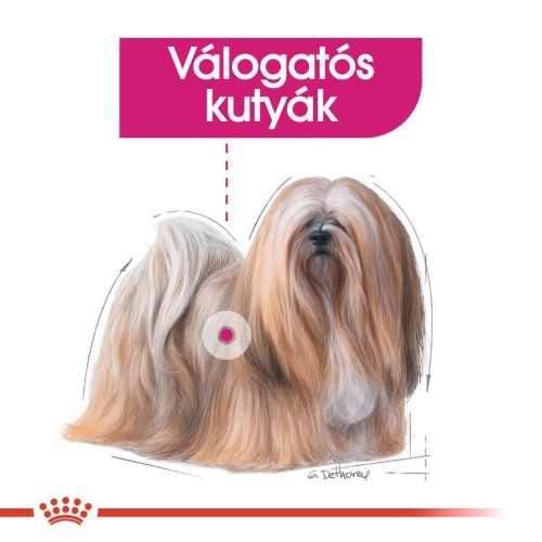Royal Canin Exigent - alutasakos eledel válogatós kutyák részére 12 x  85 g