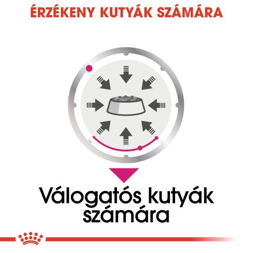 Royal Canin Exigent - alutasakos eledel válogatós kutyák részére 12 x  85 g