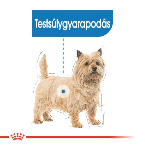Royal Canin Light Weight Care - alutasakos eledel hízásra hajlamos kutyák részére 12 x  85 g