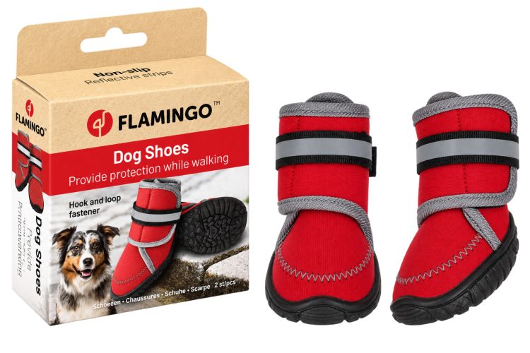 Flamingo kutyaruha - Kajan piros cipő M 2 db