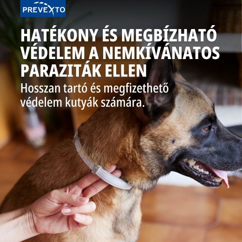 PreveXto 4,50 g + 2,03 g gyógyszeres nyakörv 8 kg feletti kutyáknak  1 db