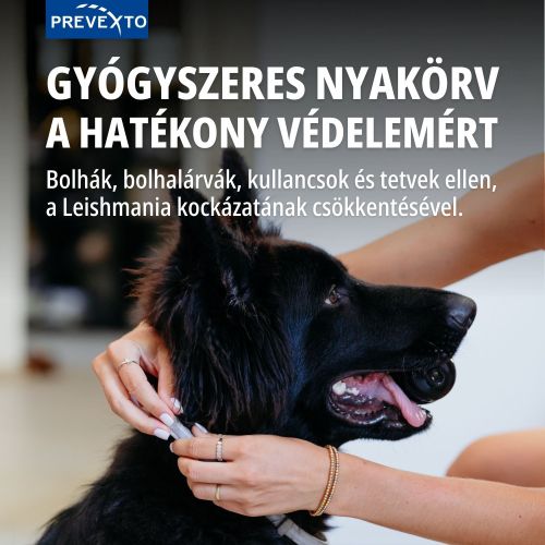 PreveXto 4,50 g + 2,03 g gyógyszeres nyakörv 8 kg feletti kutyáknak  1 db