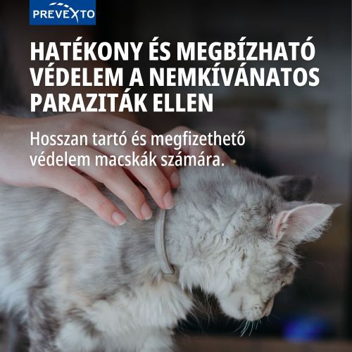 PreveXto 1,25 g + 0,56 g gyógyszeres nyakörv macskáknak  1 db