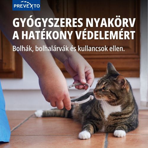 PreveXto 1,25 g + 0,56 g gyógyszeres nyakörv macskáknak  1 db