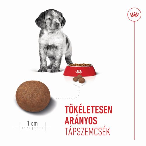 Royal Canin Medium Puppy - közepes testű kölyök kutya száraz táp  1 kg