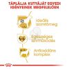 Royal Canin Boxer Adult - Boxer felnőtt kutya száraz táp  12 kg