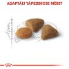 Royal Canin Savour Exigent - válogatós felnőtt macska száraz táp  2 kg